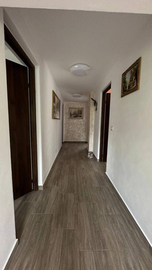 Appartamento Casa M&M Vişeu de Sus Esterno foto