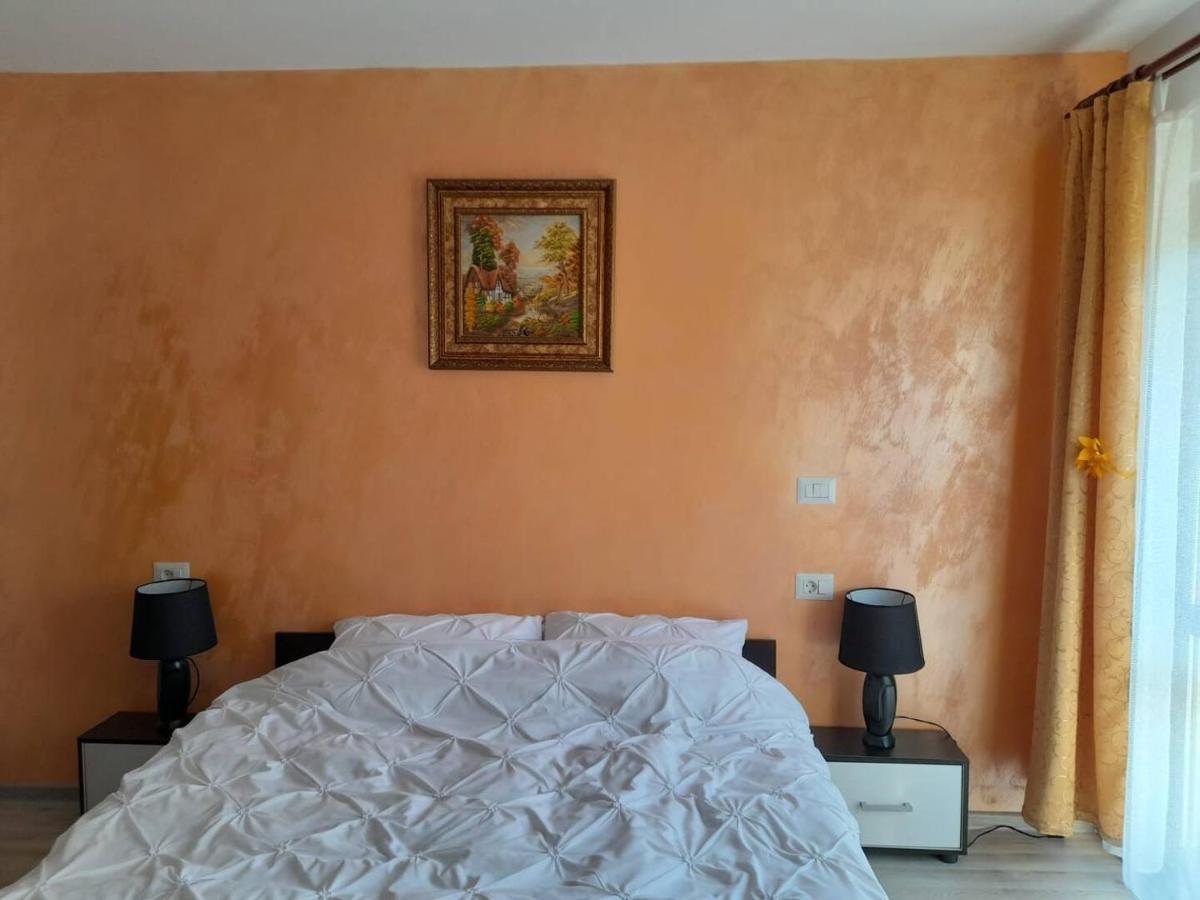 Appartamento Casa M&M Vişeu de Sus Esterno foto