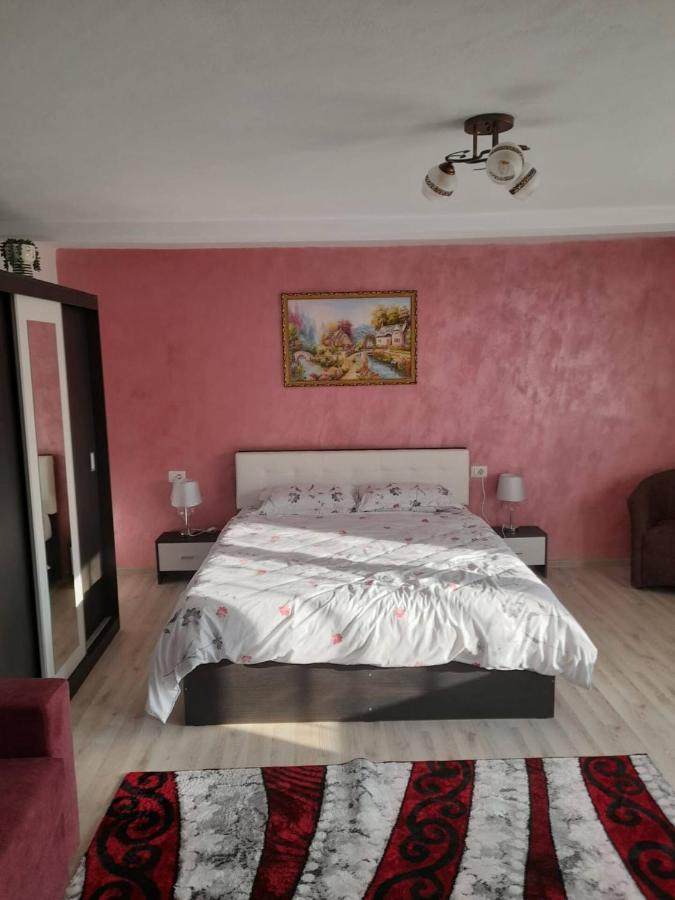 Appartamento Casa M&M Vişeu de Sus Esterno foto